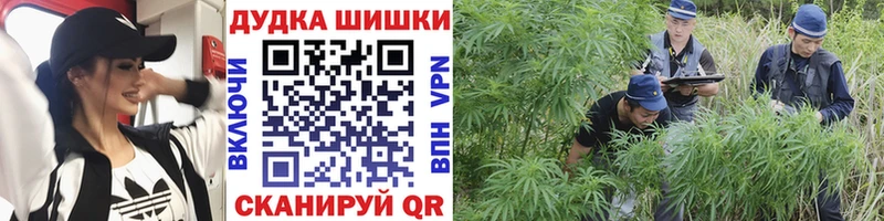 Где купить Новосиль ГАШ ЭКСТАЗИ МЕФ Cocaine Alpha PVP