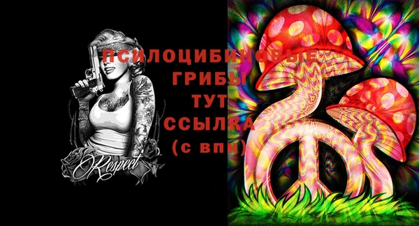 альфа пвп Бугульма