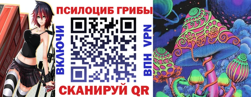 мега tor  продажа наркотиков  Новосиль  Псилоцибиновые грибы мицелий 